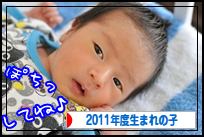 にほんブログ村 子育てブログ 2011年4月～12年3月生まれの子へ