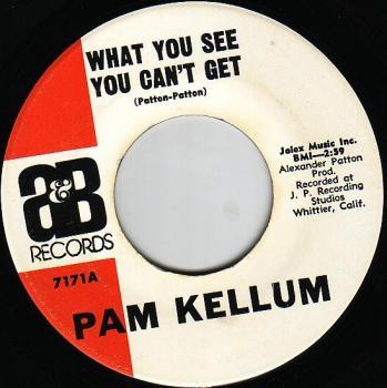 Pam Kellum - What You See You Can't Get