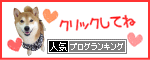 人気ブログランキング☆