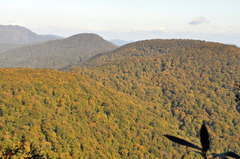 $白神山地ツアーの白神なびスタッフブログ-2012年10月上旬の白神山地「二ツ森」登山情報8