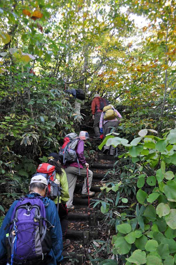 $白神山地ツアーの白神なびスタッフブログ-2012年10月上旬の白神山地「二ツ森」登山情報6