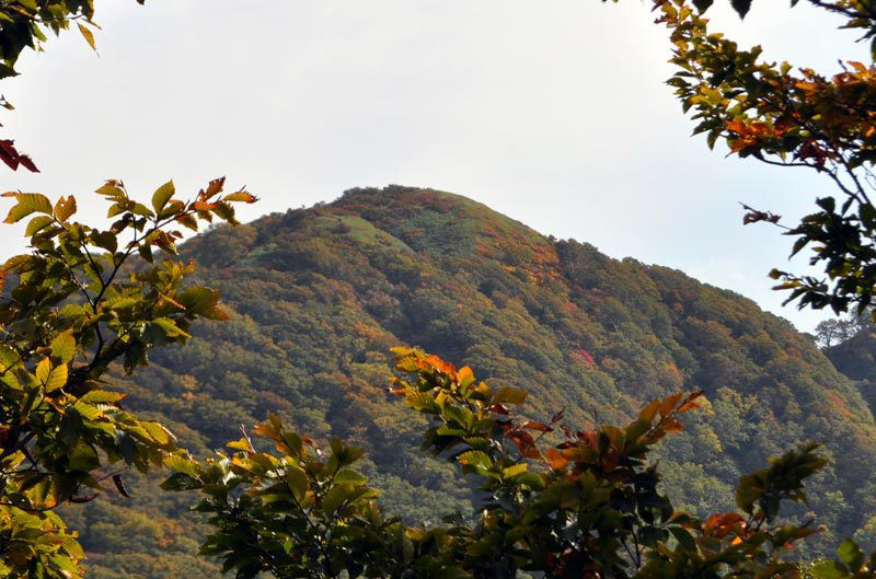 $白神山地ツアーの白神なびスタッフブログ-2012年10月上旬の白神山地「二ツ森」登山情報2