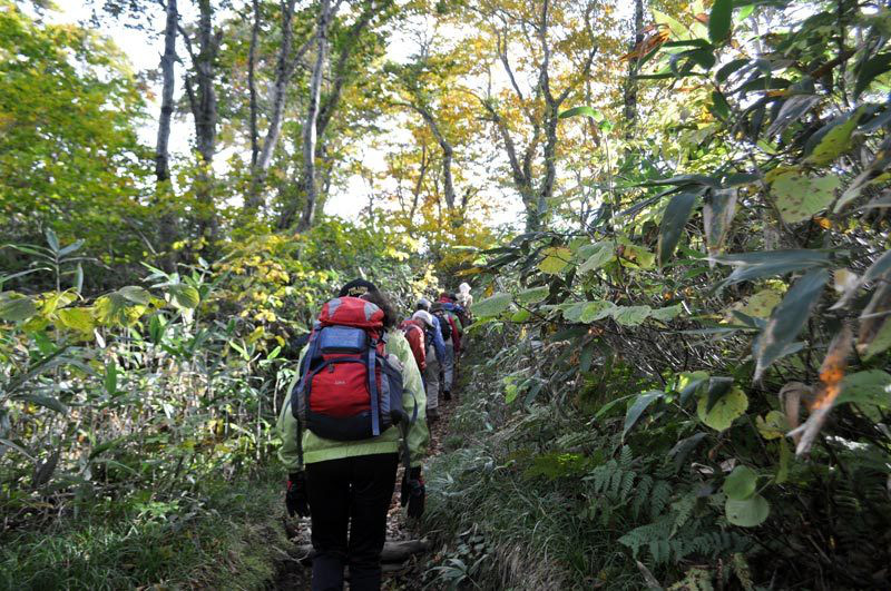 $白神山地ツアーの白神なびスタッフブログ-2012年10月上旬の白神山地「二ツ森」登山情報3