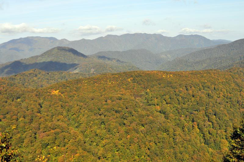 $白神山地ツアーの白神なびスタッフブログ-2012年10月上旬の白神山地「二ツ森」登山情報10