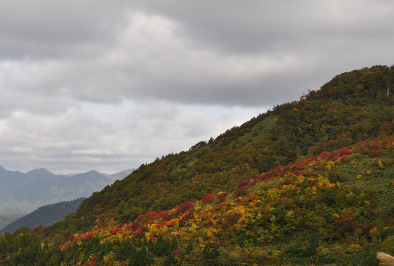 $白神山地ツアーの白神なびスタッフブログ-2012年10月上旬の白神山地「二ツ森」登山情報1