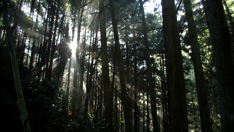 $ルーラルアート+ふるいちやすしの日記