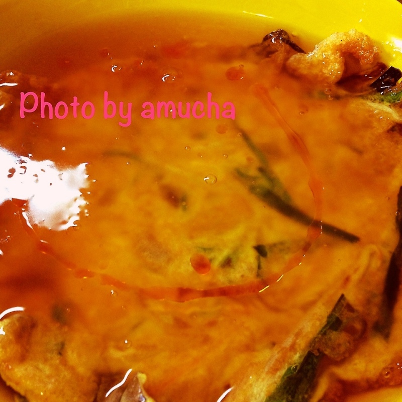 フヨウハイ(ﾉ´▽｀)ﾉ