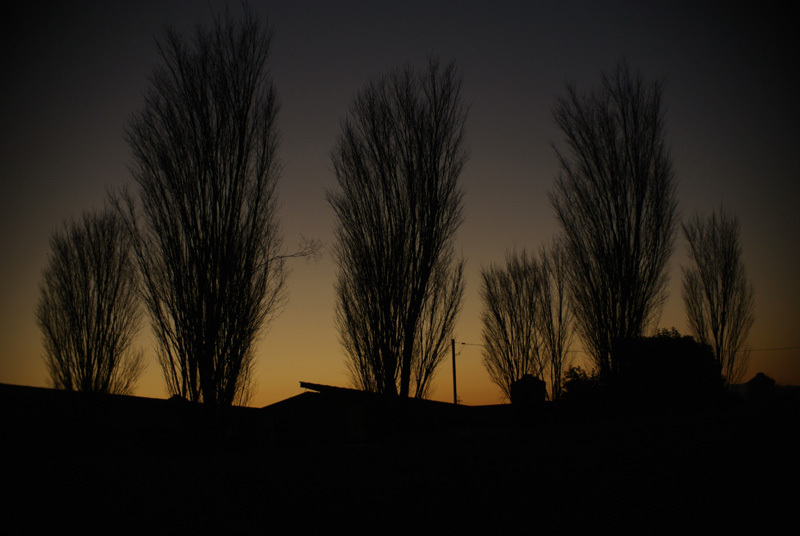 ルーラルアート+ふるいちやすしの日記