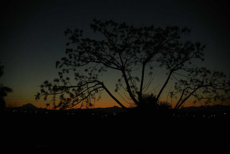 $ルーラルアート+ふるいちやすしの日記