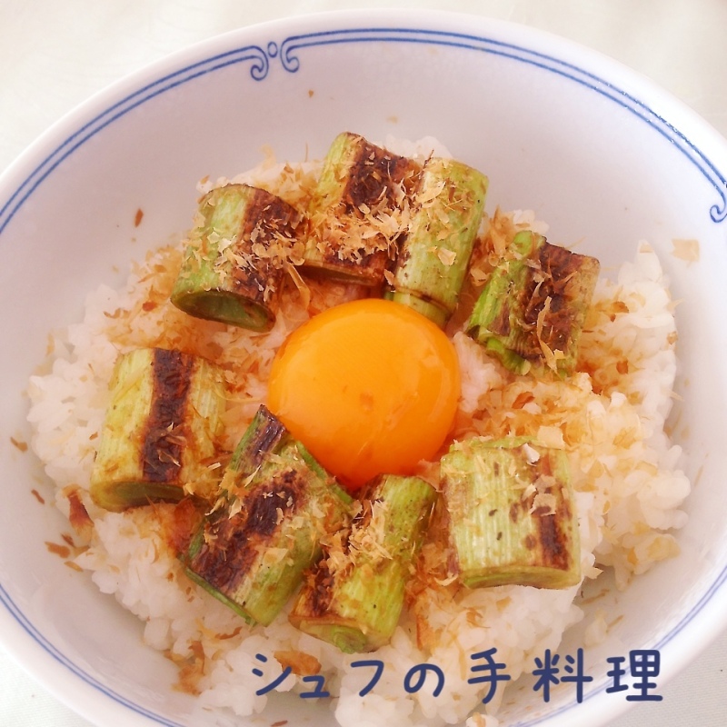 ねぎのたまごかけ丼