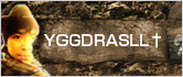 三井太一YGGDRASLL