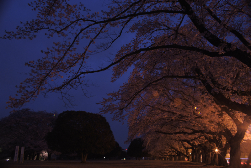ルーラルアート+ふるいちやすしの日記