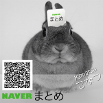 NAVERまとめ