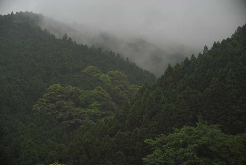 $ルーラルアート+ふるいちやすしの日記