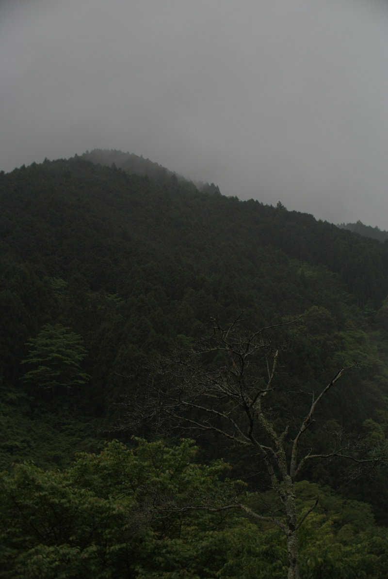 ルーラルアート+ふるいちやすしの日記