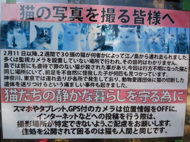 江の島猫ちゃん連れ去り事件 Vanves の毎日 衣食住 Et Cetera