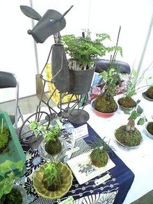080726_1118~0002.jpg