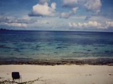 Olde Village Lanterne