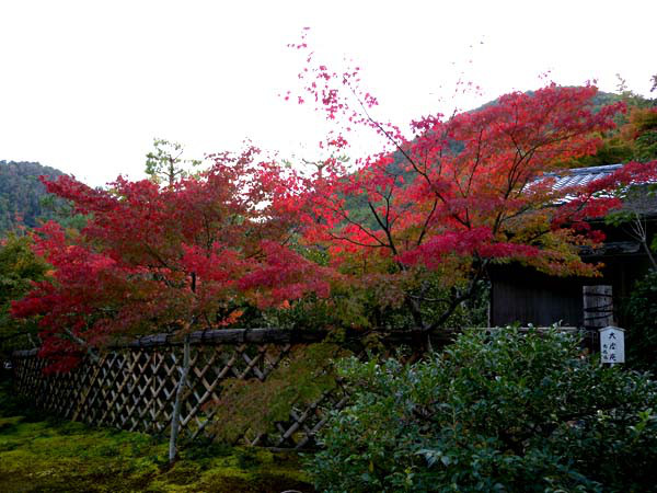 光悦寺