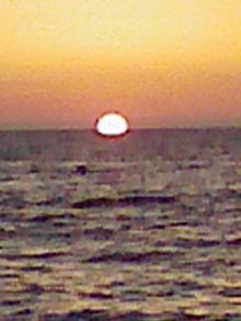 photo.jpg