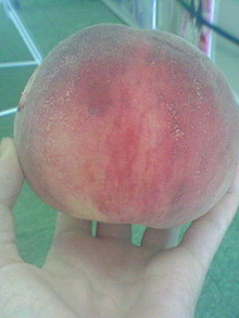 菅澤美月 つにてんてん♪ サムネイル画像