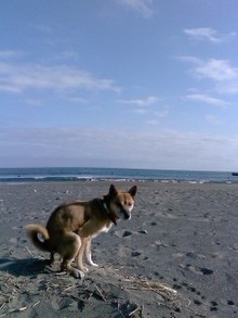 MeiSTER 014R BLOG 『明日やろうはバカやRYO』-L7040279.JPG