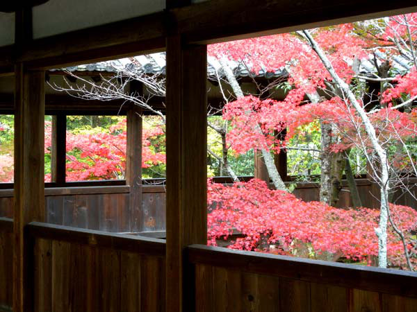 清涼寺