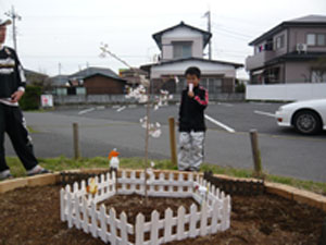 マリリンのかだんにっき③