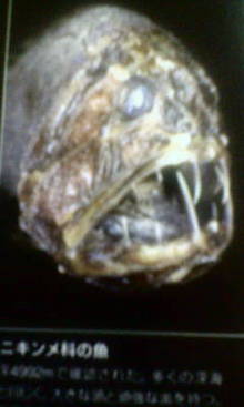 菅澤美月 つにてんてん♪ サムネイル画像