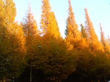 200612061554000.jpg