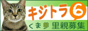 ずれずれブログ