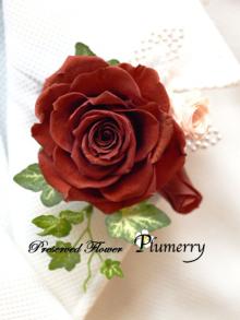 Plumerry（プルメリー）プリザーブドフラワースクール （千葉・浦安校）-コサージュ　プリザーブドフラワー