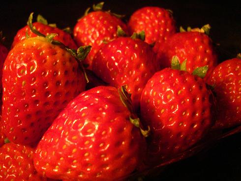 Conclave   　 ～百合ヶ丘のバーテンダーのblog～