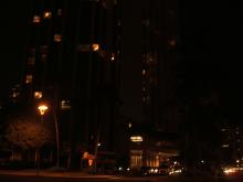 ハワイプリンス