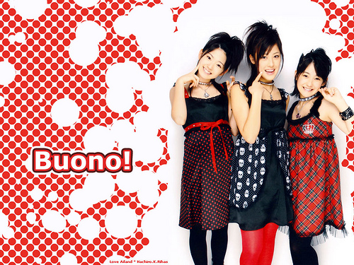 可憐麗人のブログ