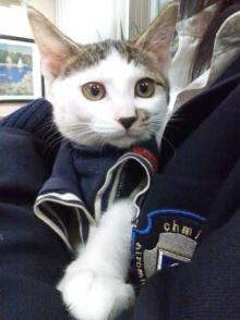 ３丁目こたま日記