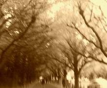 200612061601001.jpg
