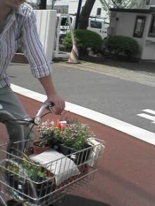 花を買いに行く③