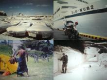 Olde Village Lanterne