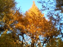 200612061553000.jpg