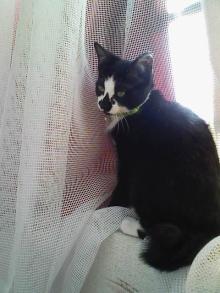 大きくなった？