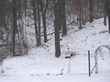 Miyavizim08のブログ-Winter Came Late I