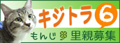 ずれずれブログ