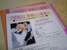 Chico in LA  ●続・ロサンゼルス的徒然日記●