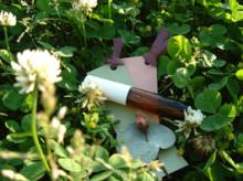 フレグランス１