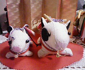 ハクナマタタ-200812291804001.jpg