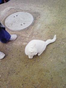 唐津城の野良猫