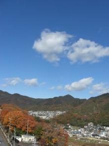 たまねぎさんのブログ