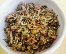 たまねぎさんのブログ