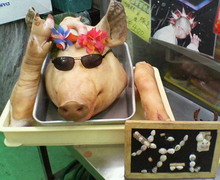 200708131122000.jpg